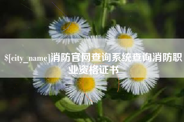 磁县消防官网查询系统查询消防职业资格证书