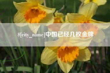 磁县中国已经几枚金牌