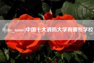 磁县中国十大消防大学有哪些学校