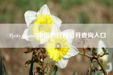 磁县中国执行网公开查询入口
