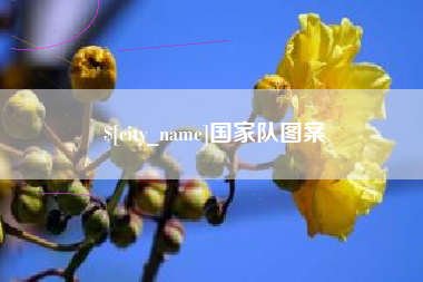 磁县国家队图案