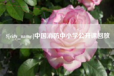 磁县中国消防中小学公开课回放