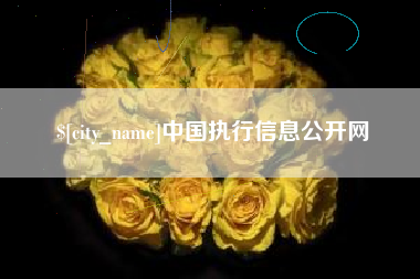 磁县中国执行信息公开网