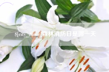 磁县森林消防日是哪一天