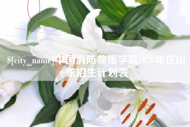 磁县中国消防救援学院2020年在山东招生计划表