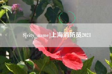 磁县上海消防员2021