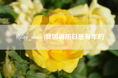 磁县我国消防日是每年的
