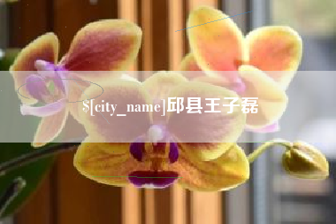 磁县邱县王子磊