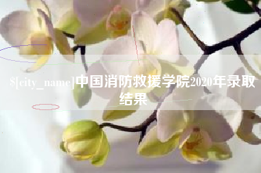 磁县中国消防救援学院2020年录取结果