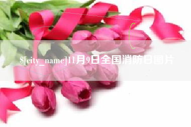 磁县11月9日全国消防日图片