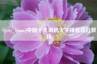 磁县中国十大消防大学排名及分数线
