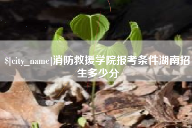 磁县消防救援学院报考条件湖南招生多少分