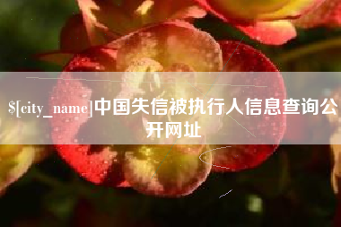 磁县中国失信被执行人信息查询公开网址
