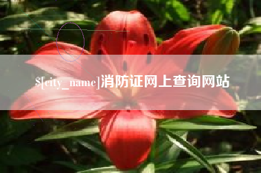 磁县消防证网上查询网站