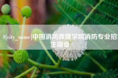 磁县中国消防救援学院消防专业招生简章