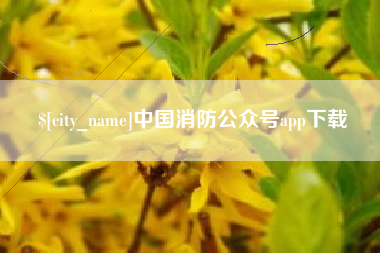 磁县中国消防公众号app下载