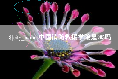 磁县中国消防救援学院是985吗