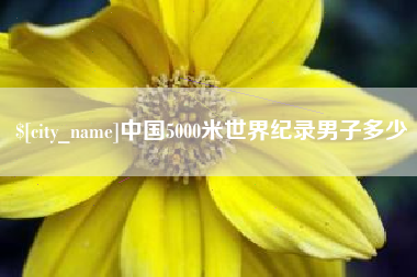 磁县中国5000米世界纪录男子多少