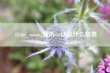 磁县消防ccc认证什么意思