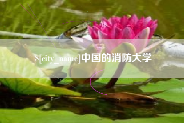 磁县中国的消防大学