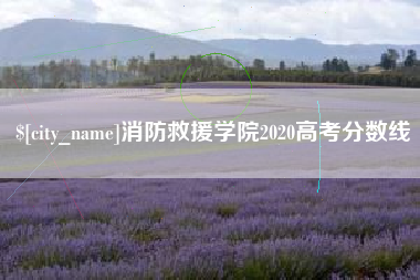 磁县消防救援学院2020高考分数线