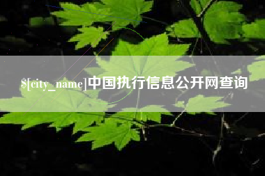 磁县中国执行信息公开网查询