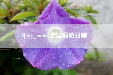 磁县全国消防日哪一