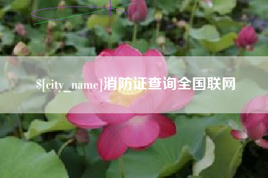 磁县消防证查询全国联网