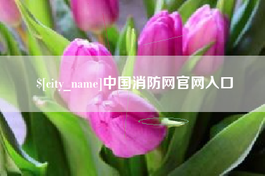 磁县中国消防网官网入口