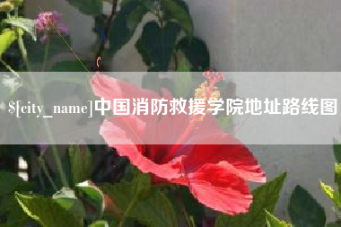 磁县中国消防救援学院地址路线图