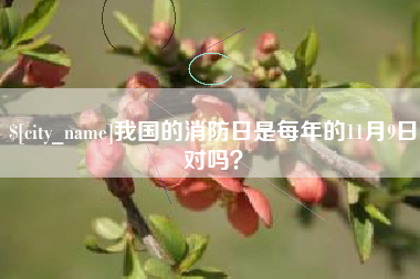 磁县我国的消防日是每年的11月9日对吗？
