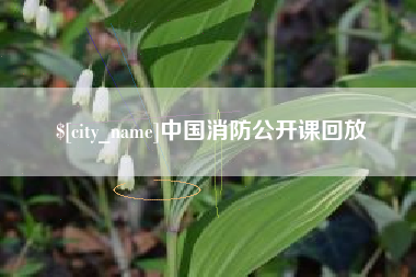 磁县中国消防公开课回放
