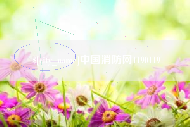 磁县中国消防网1190119