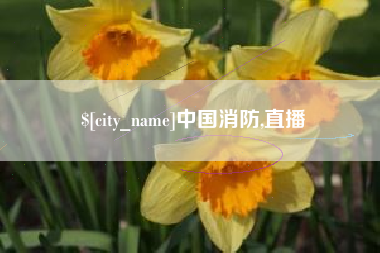磁县中国消防,直播