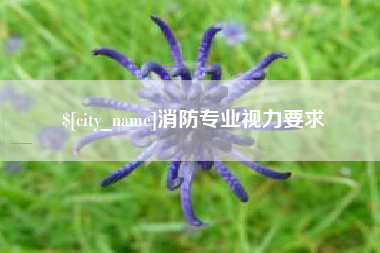 磁县消防专业视力要求