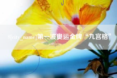 磁县第一波奥运金牌“九宫格”