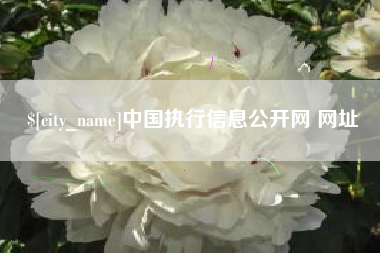 磁县中国执行信息公开网 网址