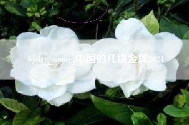 磁县中国的几块金牌2021