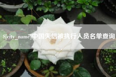 磁县中国失信被执行人员名单查询