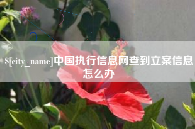 磁县中国执行信息网查到立案信息怎么办