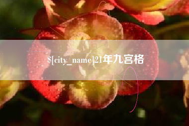 磁县21年九宫格