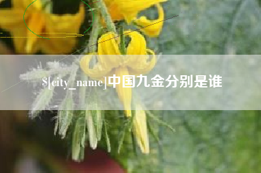 磁县中国九金分别是谁