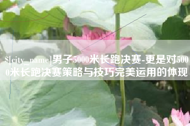 磁县男子5000米长跑决赛-更是对5000米长跑决赛策略与技巧完美运用的体现
