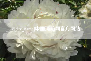 磁县中国消防网官方网站