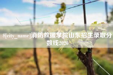 磁县消防救援学院山东招生录取分数线2020
