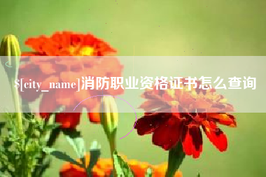 磁县消防职业资格证书怎么查询