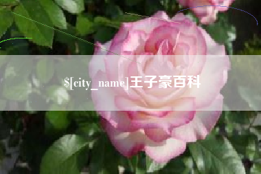 磁县王子豪百科