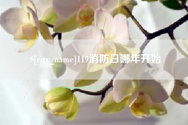 磁县119消防日哪年开始