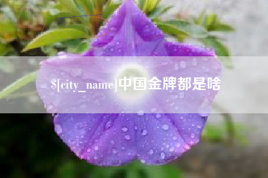 磁县中国金牌都是啥
