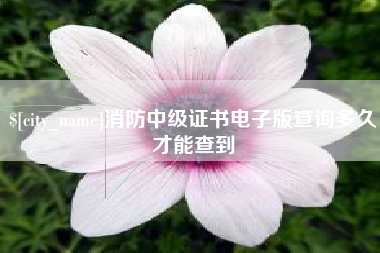 磁县消防中级证书电子版查询多久才能查到